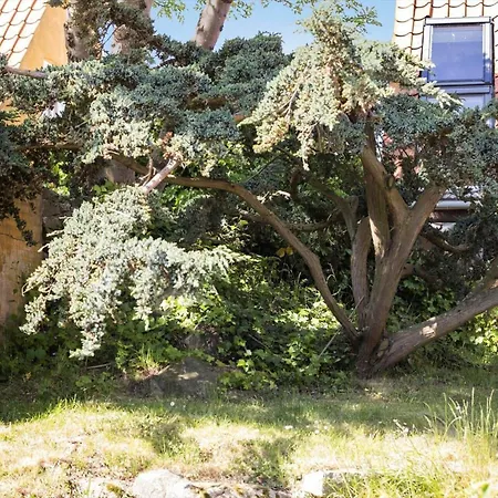 5561-gudhjem-kirkevej-8 Casa de Férias *